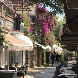 Meet your Posher, Diane